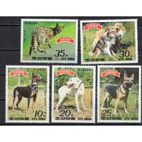 КНДР 1989. Фауна. Собаки, кошки 5 марок (2991)
