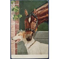 Породистые лошади. Жан Бунгартц. Германия. Начало 20-го века.