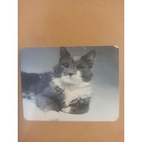 Календарь 1990 кошки/10
