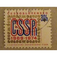 5лет конституции федерации.