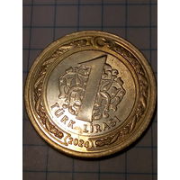 1 лира Турция 2024 год.