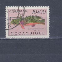 [511] Португальский Мозамбик 1951. Фауна.Рыба.10 э. Гашеная марка.