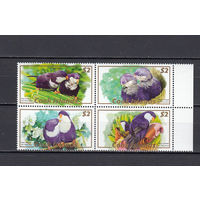 Фауна. Птицы. Острова Кука. 2007. 4 марки в квартблоке. Michel N 1591-1594 (20,0 е)