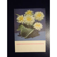 Цветы в вазе.  1971 г.  подписанная.