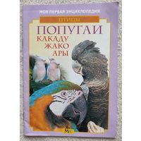 Попугаи у нас дома | П.В.Чернушин, А.М.Дорофеев
