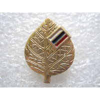 Российский союз молодежи.