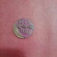 Знак крестьянского общества КОВ БССР 1930 год с эмалями