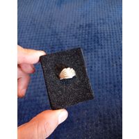 Кольцо серебро 925, распродажа коллекции, с рубля