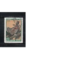 СССР-1959, (Заг.2244),   гаш. (с клеем)  , Фауна, Рябчик