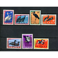 Конго (Заир) - 1963 - Птицы - [Mi. 138-144] - полная серия - 7 марок. MNH.  (Лот 40JG)-TG2P26