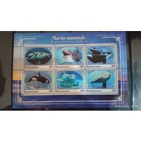 Блок рыбы фауна морская жизнь  MNH