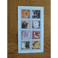 Гвинея экваториальная малый лист 1990 г. Кошки