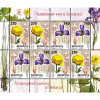 2003 БЕЛАРУСЬ  малый лист коллекционных марок Редкие виды цветов MNH