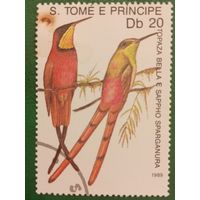 Сан Томе и Принсипи 1989. Фауна. Птицы. Topaza Bella e Sappho Sparganura