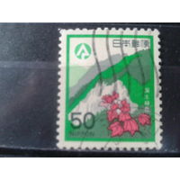 Япония, 1979. Лесовосстановление