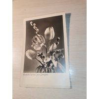 Открытое письмо, почтовая карточка до 1917 года, Германия.