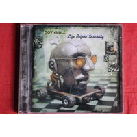 Gov't Mule - Life Before Insanity (CD)