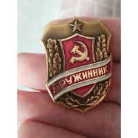 Дружинник