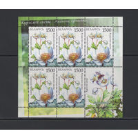 Флора цветы Беларусь 2009 Малый лист "Курослеп лесной"