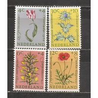 ФФ1 Нидерланды 1960 Цветы