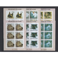 Фауна Кошки Гвинея 2002** Домашние животные Малые листы 6 шт Без перфорации