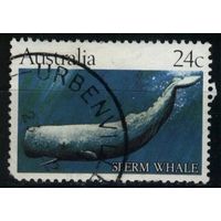 Австралия - 1982 [Mi. 777] Гашеная (AU20)