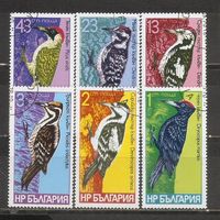 ФФ2 Болгария 1978 Дятлы гаш