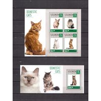 Соломоновы острова 2014 Фауна домашние кошки - 1 лист + 1 блок MNH**