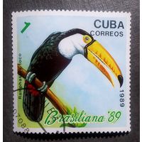 Марка Куба 1989 год Птицы
