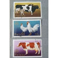 Польша домашние животные 3шт