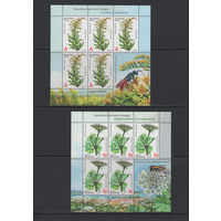 Флора Беларусь 2014 Инвазивные растения. Золотарник канадский и Борщевик Сосновского