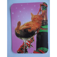 Календарик 2000 г. Праздник удался на славу.