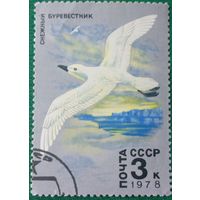 СССР 1978. Снежный буревестник