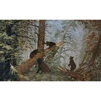 Мишки в лесу