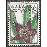 Бельгия. Выставка цветов. Стапелия. 1965г. Mi#1377.