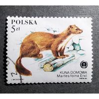 Марка Польша 1984 год Фауна