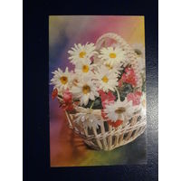 Ромашки в корзине.  1972 г.  подписанная.