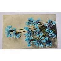 1908 год Либава  Открытка