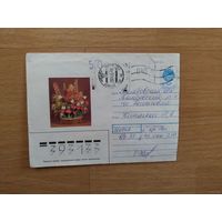 Украина провизорий Кривой Рог флора цветы