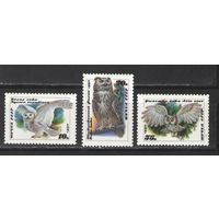 Марки СССР. 1990г. Совы