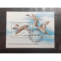 Йемен. 1990 год. Фауна. Птицы. Утки (блок)  (402)