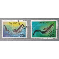 Танзания морские рыбы 2шт