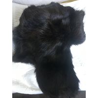 Шапка ушанка кроличья СССР
