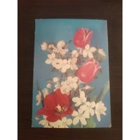 Открытка,1 мая,чистая