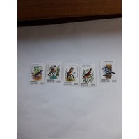 Марки Беларусь 1998 Птицы