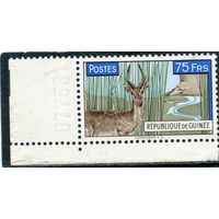 Гвинея. Фауна. Обыкновенная редунка, антилопа
