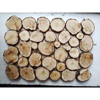 Панно со спилов можжевельника 340х240, мм