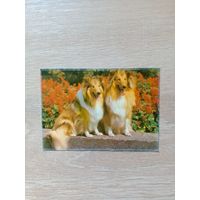 Календарик 1992