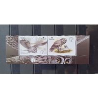 Беларусь 2005г. Фауна Сова Птица года Бородатая неясыть. Марка с купоном.**