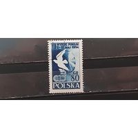РАСПРОДАЖА ПОЛЬША 1954г. Гаш.